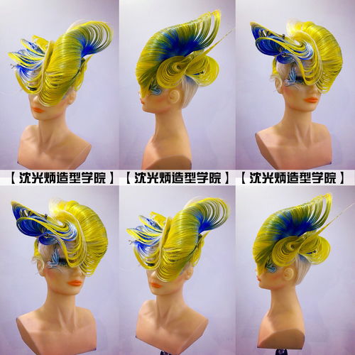 創(chuàng)意發(fā)型與舞臺(tái)藝術(shù)晚裝盤(pán)發(fā) OMC參賽造型策劃指南